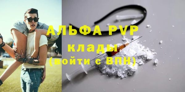 мяу мяу мука Белокуриха