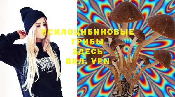 мяу мяу мука Белокуриха