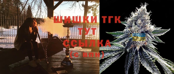 мяу мяу мука Богданович