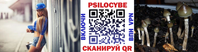 где можно купить наркотик Свирск Псилоцибиновые грибы мухоморы